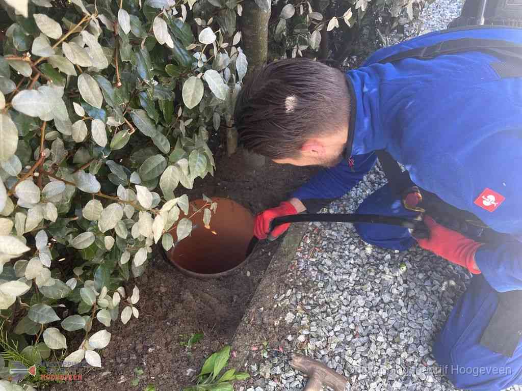 Rioolvliegjes Hoogeveen Rioolvliegjes Hoogeveen